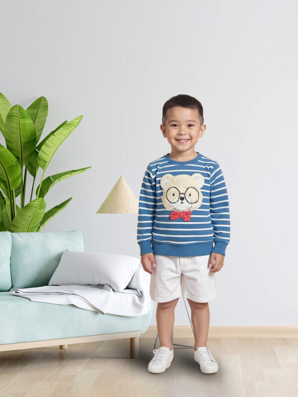 Blue & white striped teddy full sleeve sweatshirt