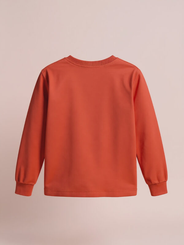 "Fly High" full sleeve boys sweatshirt - Image 3