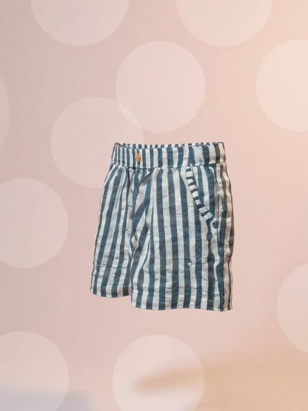 Blue & white striped shorts - Image 2